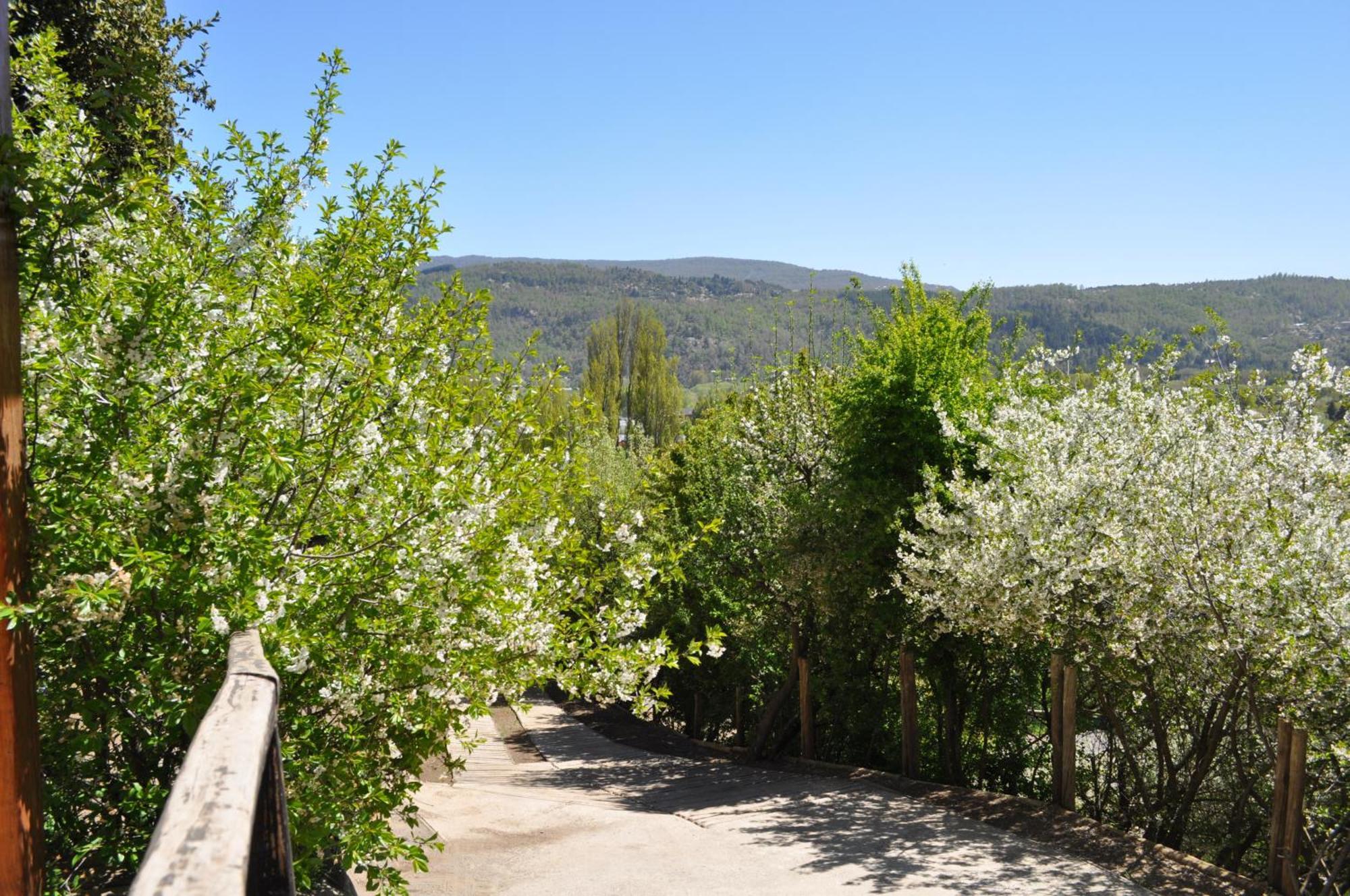 Melodia Natural En San Martín de los Andes Εξωτερικό φωτογραφία