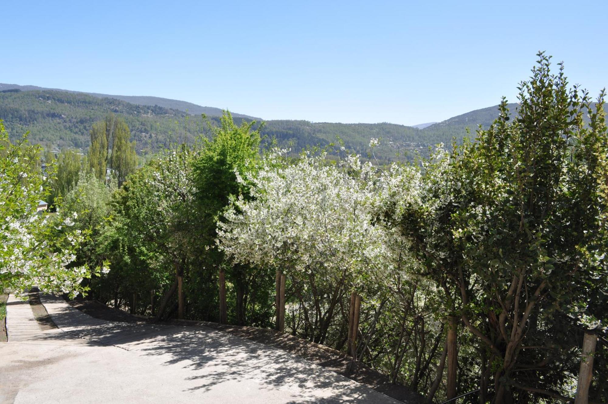 Melodia Natural En San Martín de los Andes Εξωτερικό φωτογραφία